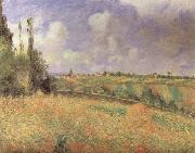 Camille Pissarro Rye Fields at Pontoise oil painting reproduction
